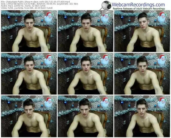 chaturbate-dave_wels-webcam-show-01_05_2017-07_14_00