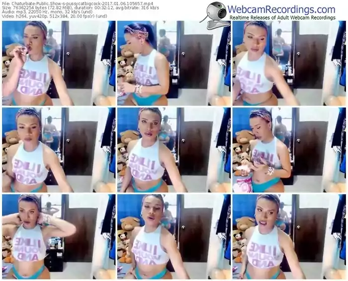 chaturbate-pussycatbigcock-webcam-show-01_06_2017-10_56_57