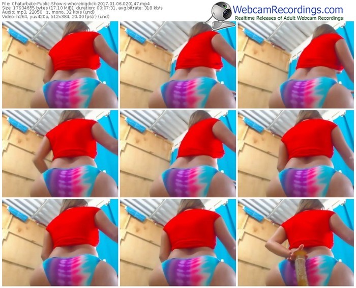 chaturbate-whorebigdick-webcam-show-01_06_2017-02_01_47