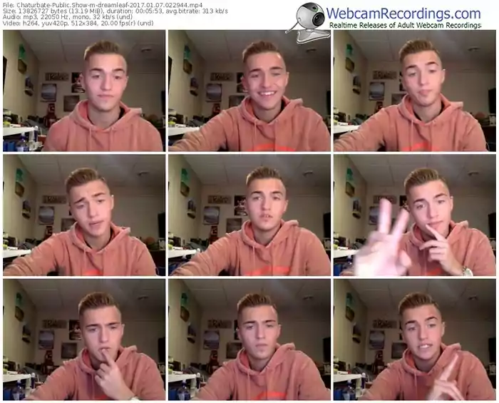 chaturbate-dreamleaf-webcam-show-01_07_2017-02_29_44