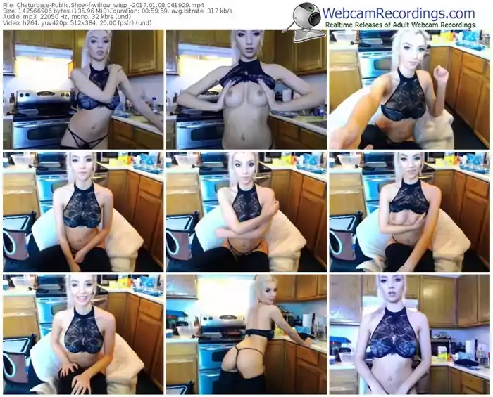 chaturbate-willow_wisp_-webcam-show-01_08_2017-06_19_29