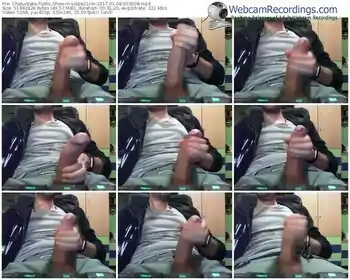 chaturbate-volpe21cm-webcam-show-01_08_2017-00_30_08