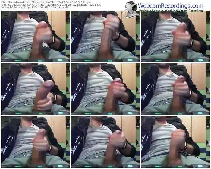 chaturbate-volpe21cm-webcam-show-01_08_2017-00_30_08