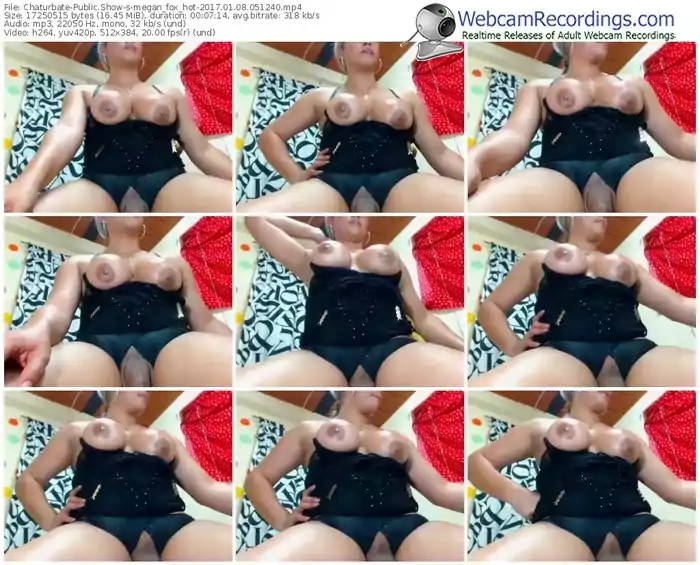 chaturbate-megan_fox_hot-webcam-show-01_08_2017-05_12_40