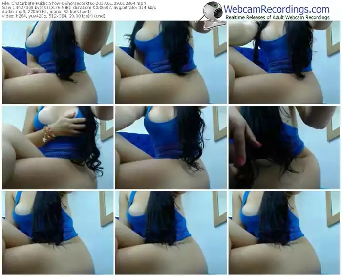 chaturbate-xhorsecocktsx-webcam-show-01_09_2017-01_23_04