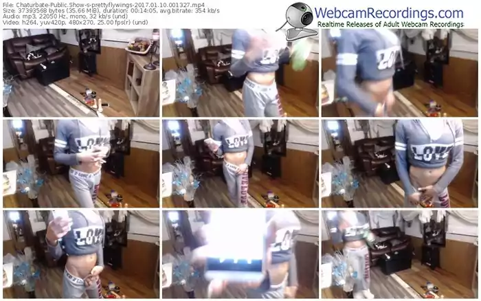 chaturbate-prettyflywings-webcam-show-01_10_2017-00_13_27