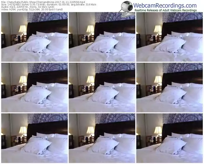 chaturbate-hersandmine-webcam-show-01_11_2017-22_05_58