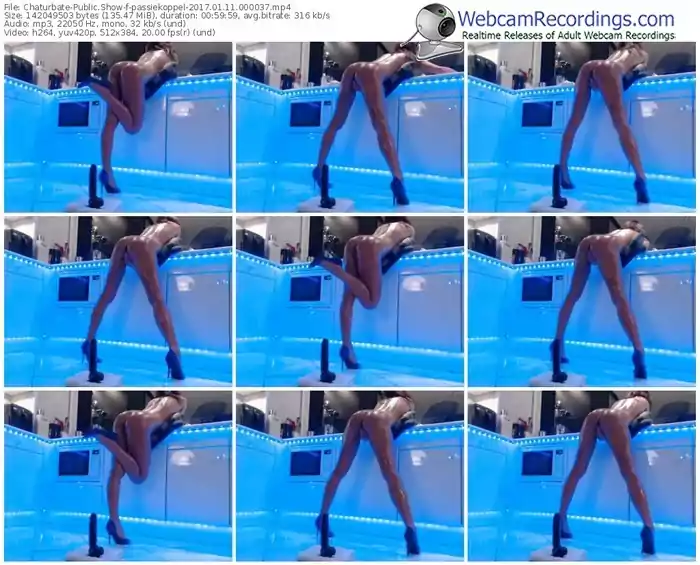 chaturbate-passiekoppel-webcam-show-01_11_2017-00_00_37