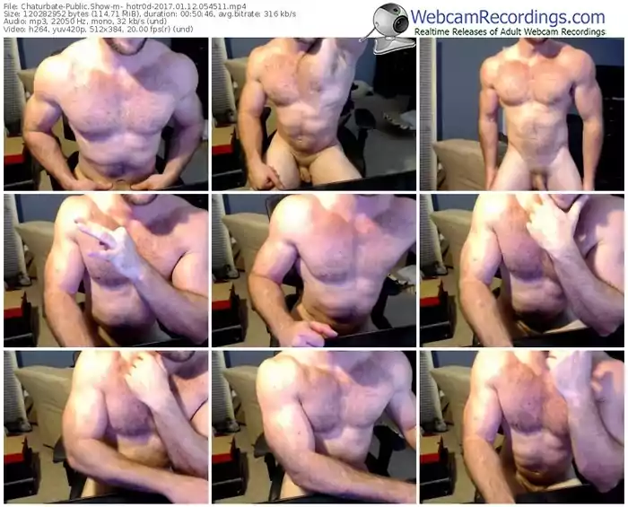 chaturbate-_hotr0d-webcam-show-01_12_2017-05_45_11