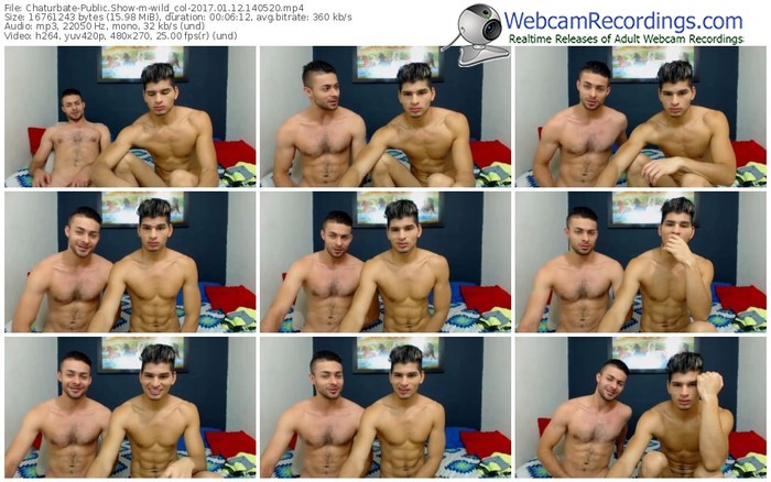 chaturbate-wild_col-webcam-show-01_12_2017-14_05_20