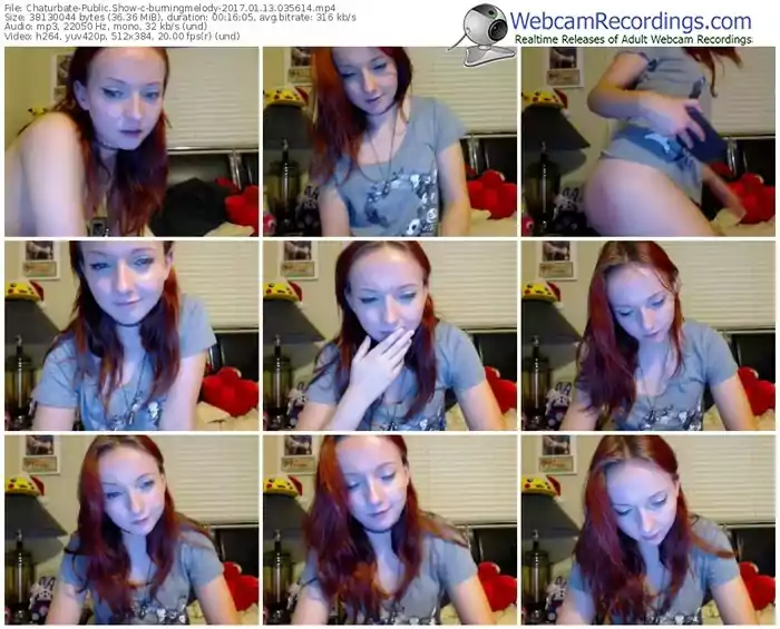 chaturbate-burningmelody-webcam-show-01_13_2017-03_56_14