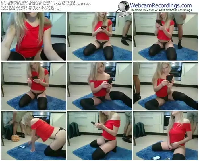 chaturbate-ne2sh-webcam-show-01_13_2017-12_36_24