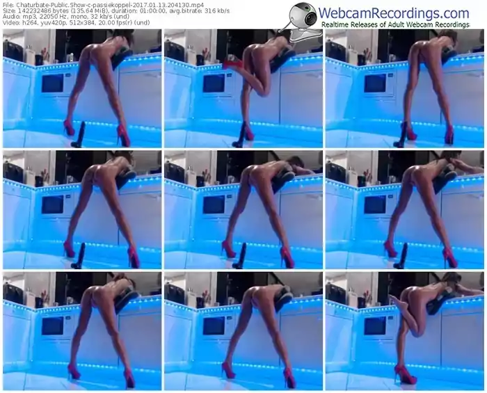 chaturbate-passiekoppel-webcam-show-01_13_2017-20_41_30