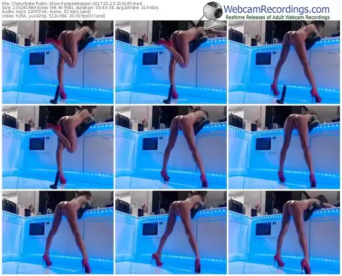 chaturbate-passiekoppel-webcam-show-01_13_2017-21_01_45