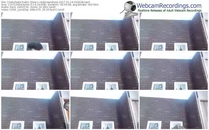 chaturbate-redjinaandross-webcam-show-01_14_2017-00_26_38