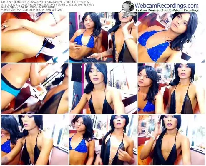 chaturbate-2ts11indeepass-webcam-show-01_14_2017-18_10_27