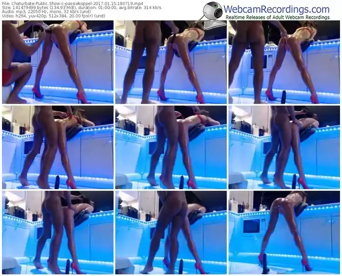 chaturbate-passiekoppel-webcam-show-01_15_2017-18_07_19