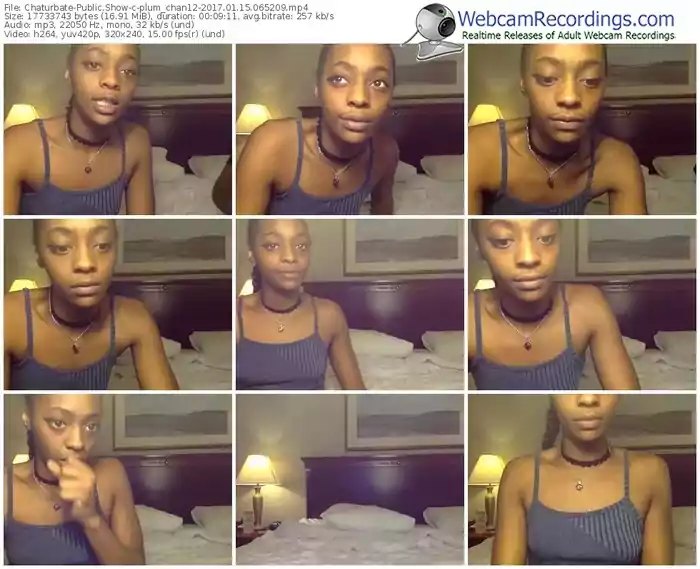 chaturbate-plum_chan12-webcam-show-01_15_2017-06_52_09