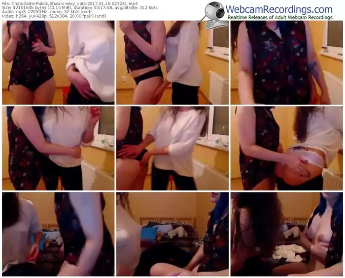 chaturbate-sexy_cats-webcam-show-01_16_2017-02_32_31