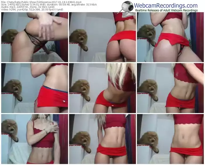 chaturbate-littlesonia-webcam-show-01_18_2017-14_38_41