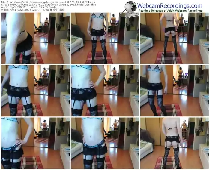 chaturbate-arigatougozaimasu-webcam-show-01_19_2017-10_22_24