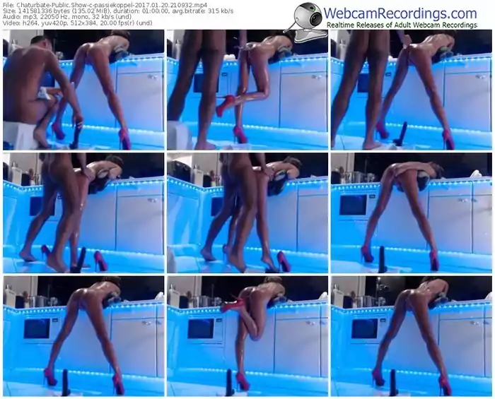 chaturbate-passiekoppel-webcam-show-01_20_2017-21_09_32