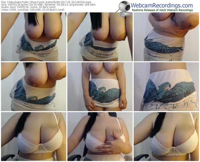 chaturbate-pink_butterfly88-webcam-show-01_20_2017-14_03_19