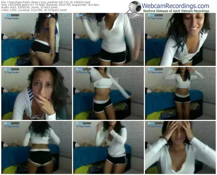 chaturbate-tiny_panther-webcam-show-01_21_2017-04_09_42