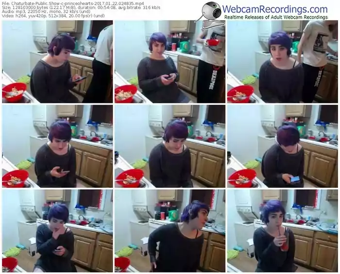 chaturbate-princeohearts-webcam-show-01_22_2017-02_48_35