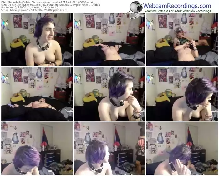 chaturbate-princeohearts-webcam-show-01_22_2017-10_58_36