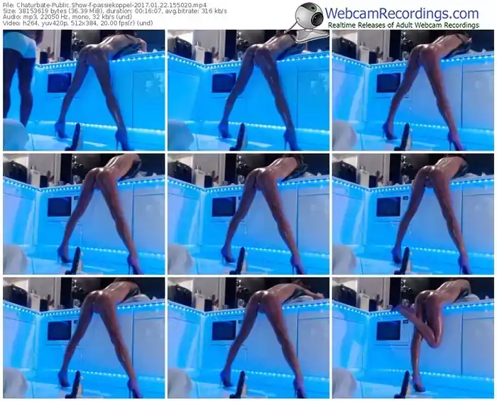 chaturbate-passiekoppel-webcam-show-01_22_2017-15_50_20