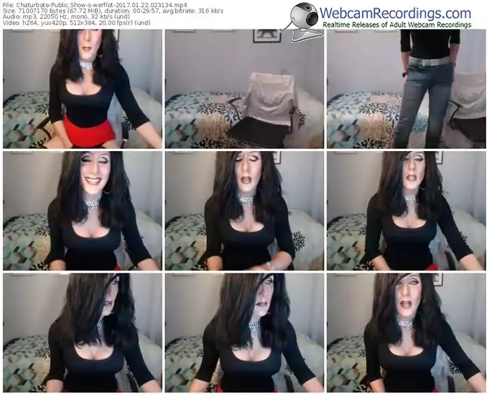 chaturbate-werflot-webcam-show-01_22_2017-02_31_34