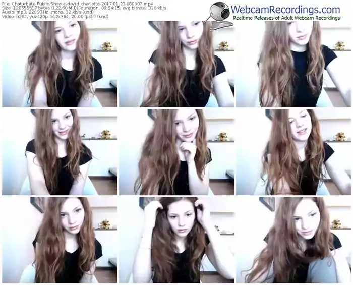 chaturbate-david_charlotte-webcam-show-01_23_2017-08_09_07