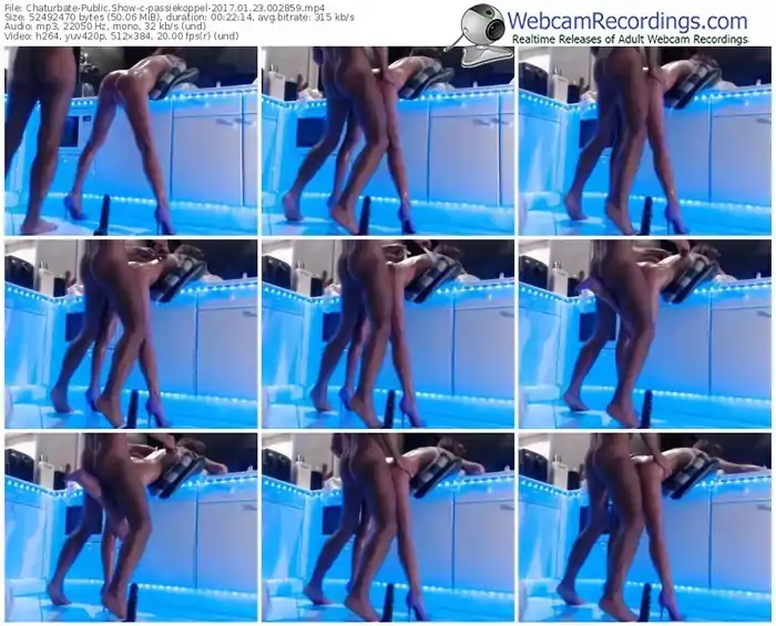 chaturbate-passiekoppel-webcam-show-01_23_2017-00_28_59