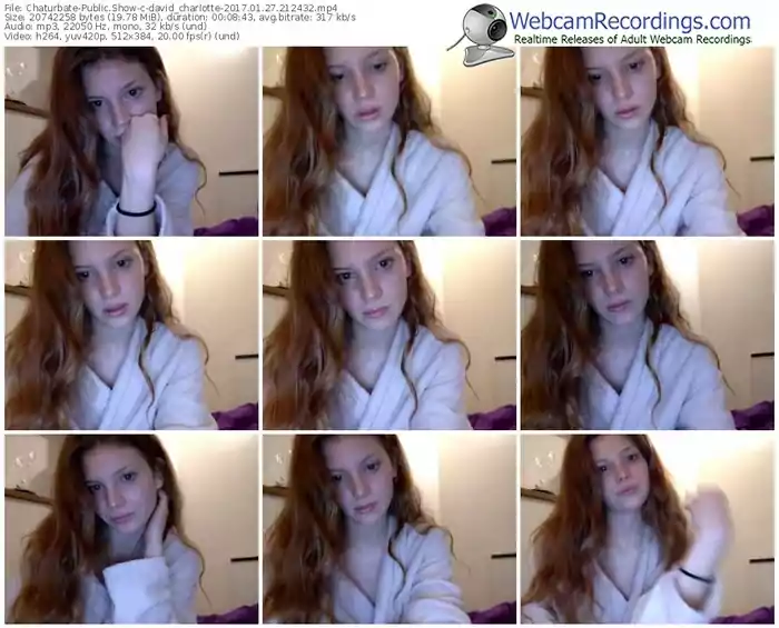 chaturbate-david_charlotte-webcam-show-01_27_2017-21_24_32