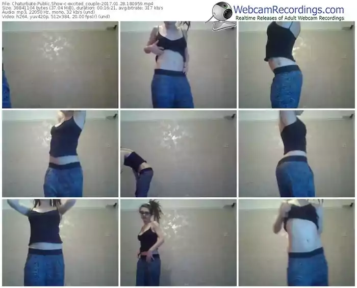 chaturbate-excited_couple-webcam-show-01_28_2017-18_09_59