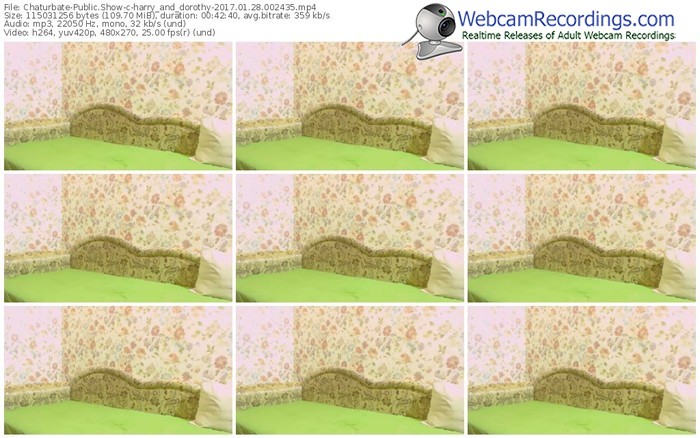 chaturbate-harry_and_dorothy-webcam-show-01_28_2017-00_24_35