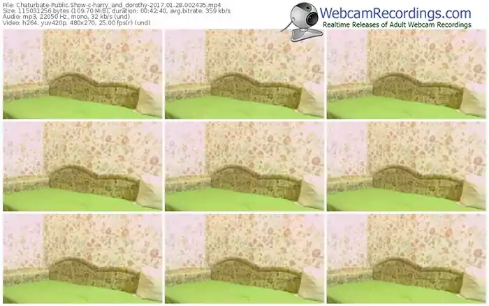 chaturbate-harry_and_dorothy-webcam-show-01_28_2017-00_24_35