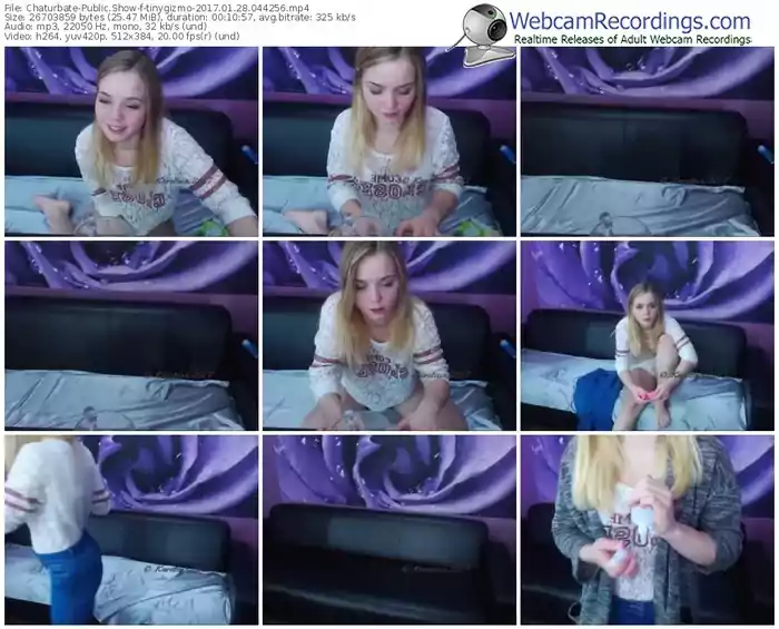 chaturbate-tinygizmo-webcam-show-01_28_2017-04_42_56