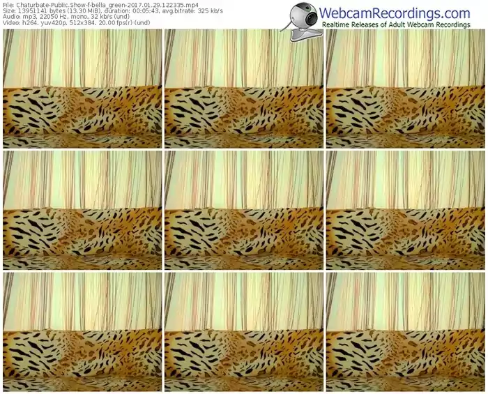 chaturbate-bella_green-webcam-show-01_29_2017-12_23_35