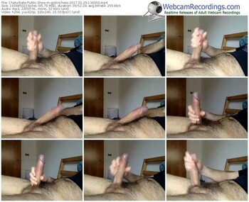 chaturbate-go9inchess-webcam-show-01_29_2017-13_03_02