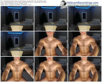 chaturbate-handsome_guy20-webcam-show-01_29_2017-22_28_13