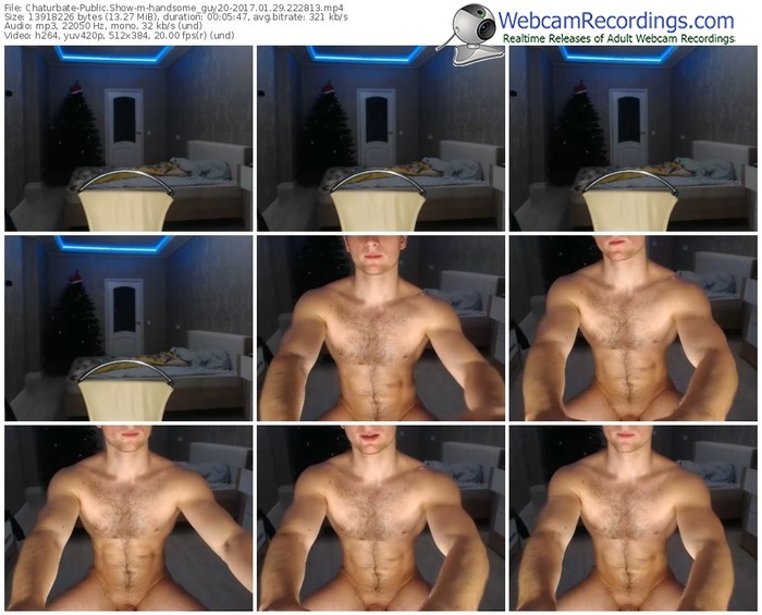 chaturbate-handsome_guy20-webcam-show-01_29_2017-22_28_13