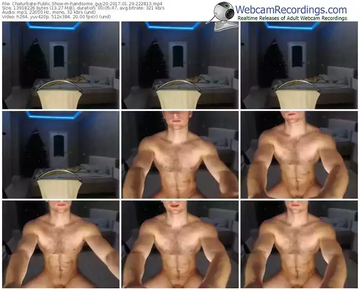 chaturbate-handsome_guy20-webcam-show-01_29_2017-22_28_13