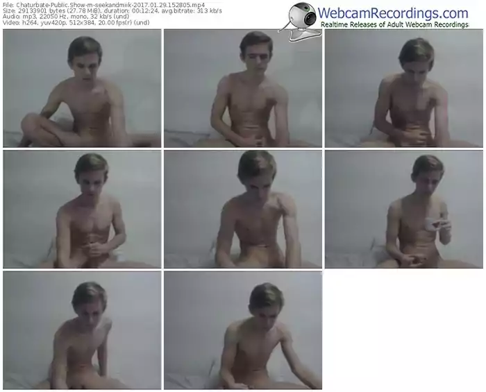 chaturbate-seekandmiik-webcam-show-01_29_2017-15_28_05