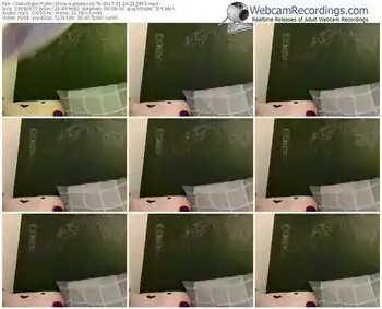 chaturbate-pleasure178-webcam-show-01_29_2017-21_24_53