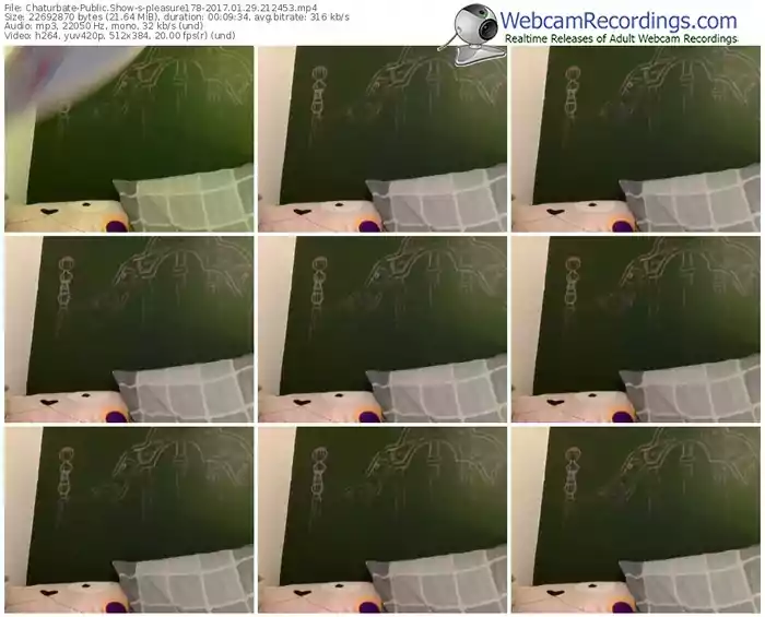 chaturbate-pleasure178-webcam-show-01_29_2017-21_24_53