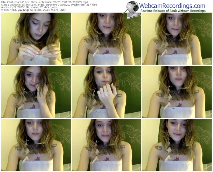 chaturbate-pleasure178-webcam-show-01_29_2017-23_39_55
