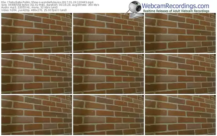chaturbate-wonderfulaysis-webcam-show-01_29_2017-12_04_43