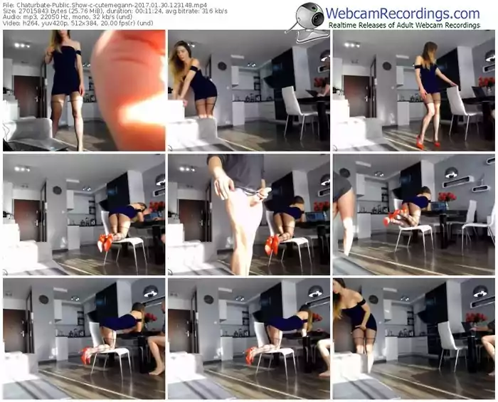 chaturbate-cutemegann-webcam-show-01_30_2017-12_31_48